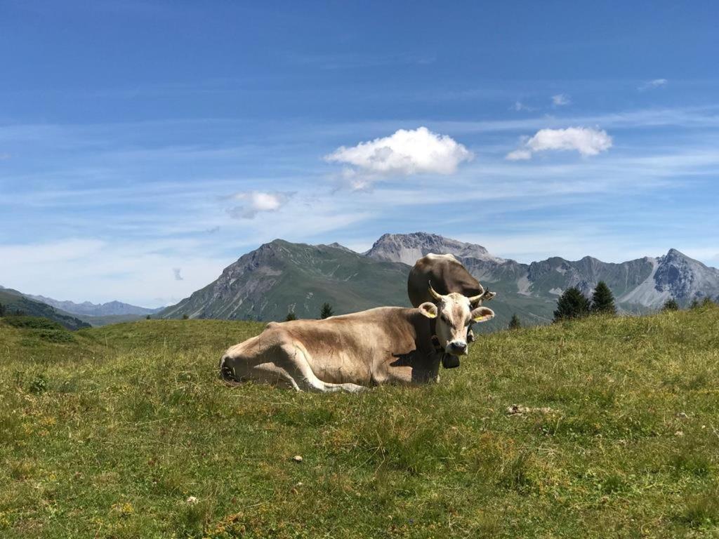 Apartmán Derby 25 Arosa Exteriér fotografie